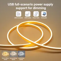 Bande lumineuse LED néon USB 5V étanche IP65, en silicone élastique, avec interrupteur tactile, réglable, pour décoration extérieure et intérieure, facile à installer