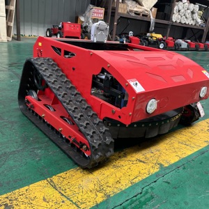 Cortadora de Césped Automática a Gasolina con Control Remoto, Mini, para Jardín y Hogar, <span class=keywords><strong>Precio</strong></span> Económico - Product Image 4