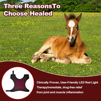 Fabricant de couvertures de thérapie infrarouge sans fil pour chevaux, avec 704 LED 660nm 850nm pour la thérapie par la lumière rouge sur tout le corps et la récupération équine