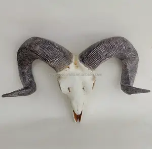 Ram Sheep Head Skull Horns Wall Mount Resin Art Animal Head Hanging Decor