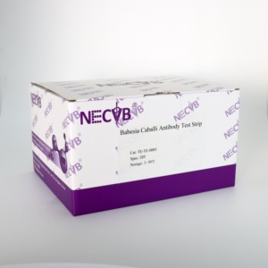 Babesia caballi <strong>Antibody</strong> Rapid Test Strip | Fluorescent Lateral Flow Assay for Equine Piroplasmosis - Product Image 5