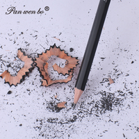 Ensemble de crayons à dessin en graphite standard Panwenbo Professional, 12 pièces, crayons à dessin pour artistes