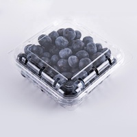 125g 250g 500g emballage de fruits en plastique boîte fruits baie framboise fraise myrtille conteneur à clapet avec trous