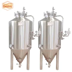 Küçük toplu Fermenter kaliteli bira fermantasyon 400l tankı bira Fermenter Unitank 250l