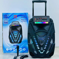 Enceinte portable 15 pouces avec woofer 80W, étanche IPX3, micro intégré, écran et batterie 3000-5000mAh pour l'extérieur