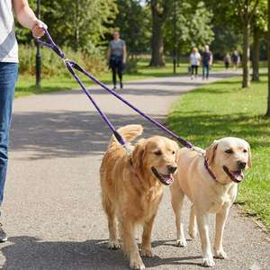 Guinzaglio per Cani Yommy a Doppia Treccia, Resistente e Confortevole, Anti-Groviglio con Ganci Metallici Sicuri per Passeggiate - Product Image 3