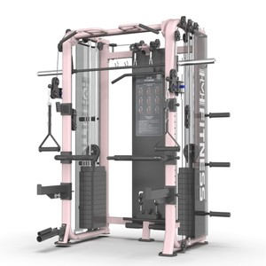 Power Rack 2000LBS Multifonction en Acier Allié <span class=keywords><strong>C21</strong></span> avec Système de Crossover à Double Poulie Unisexe Tout-en-un (Noir pour Salle de Sport à Domicile) - Product Image 5