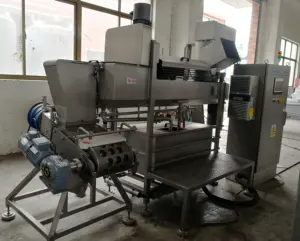 Mozzarella Cheese Making Machine Dairy Plant Fresh Liquid Milk Customized Full-auto 300kg/hr Provided Woodnen Case ISO9001 1800