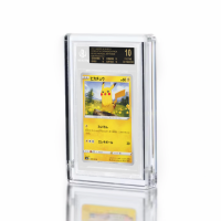 Acrylique recyclable pour l'affichage de dalles de cartes avec surface polie pour la collection de cartes PSA