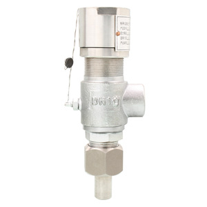 Válvula de seguridad de acero inoxidable A21H, 25 bar, rosca ajustable, alivio de presión para agua, aire, amoníaco, tipo baja temperatura - Product Image 2