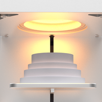 Four de frittage dentaire professionnel rapide pour zircone, pour laboratoire et utilisation au fauteuil