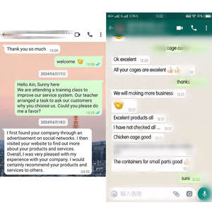 <span class=keywords><strong>Cage</strong></span> à Poulets de Chair de Haute Qualité en Batterie Type H, en Fer Galvanisé, Entièrement Automatique, pour Gros et Petits Animaux, à Vendre - Product Image 4