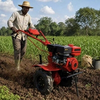 170f 7hp Cobertizo de verduras Máquina de deshierbe Pequeño Micro cultivador de gasolina para el hogar