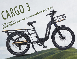 Vélo électrique Green <span class=keywords><strong>Pedel</strong></span> 24"3" 50-55km ECargo Shimano 7 vitesses 4BV Batterie lithium 15AH Frein à disque hydraulique 48V 25OW Moteur arrière - Product Image 1