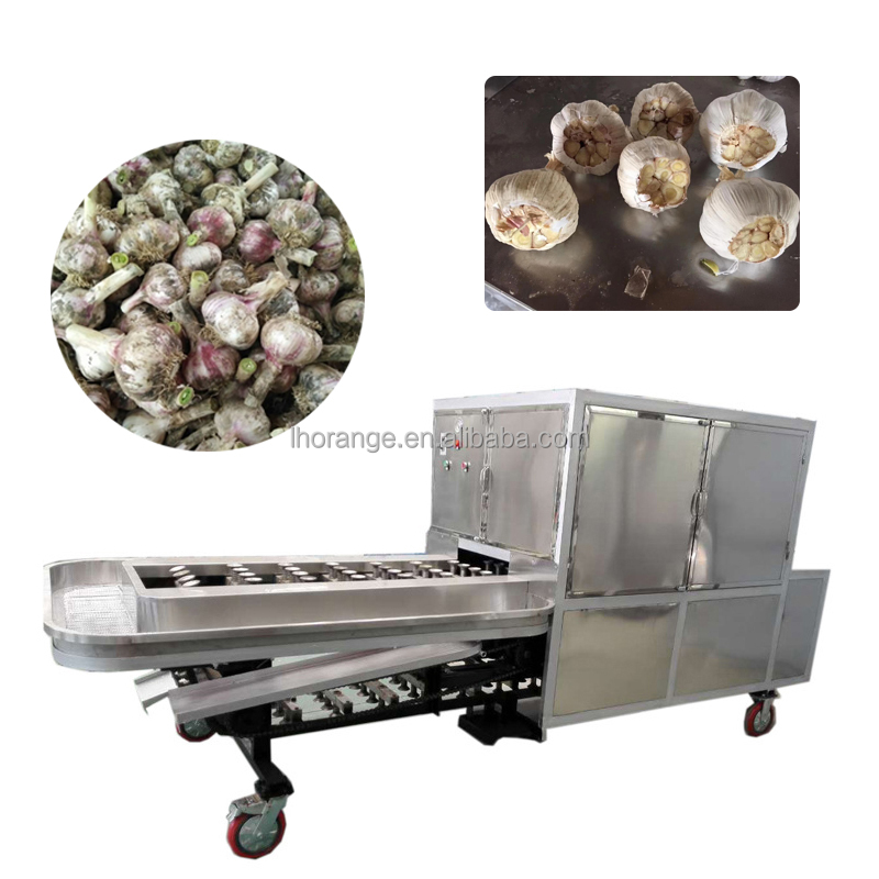 Fresh Ginger Garlic Mushroom Slicer Shallot