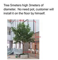Arbre de ficus artificiel de 14 pieds, banyan tronc en bois véritable