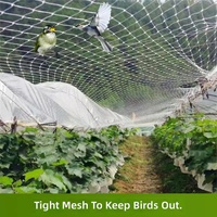Filet anti-grêle et anti-oiseaux en maille pour fermes, vignobles, plantations agricoles, rizières, étangs à poissons – Découpable sur mesure