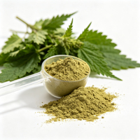 Poudre d'extrait de coquille d'ortie sauvage en vrac, Urtica Dioica, qualité alimentaire naturelle, ingrédient pour tisane et complément alimentaire