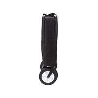 Chariot pliable utilitaire pour activités de plein air, pique-nique, camping, pêche, courses