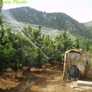 <span class=keywords><strong>Filet</strong></span> de brouillard 12x100m Invisible <span class=keywords><strong>vert</strong></span> Hdpe <span class=keywords><strong>Anti</strong></span> Bird Net Wineyard Bird Mist Nets pour l'agriculture - Product Image 6