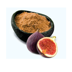 Extracto Seco de Ficus Racemosa en Polvo, Grado Premium, Ingrediente Botánico Derivado de Fruta y Corteza, para Exportación a Granel - Product Image 3