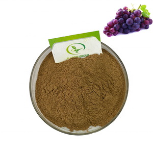 HACCP Sản Phẩm Mới Mẫu Miễn Phí Chiết Xuất Nho Cấp Thực Phẩm Chiết Xuất Hạt Nho Bột Nho - Product Image 1