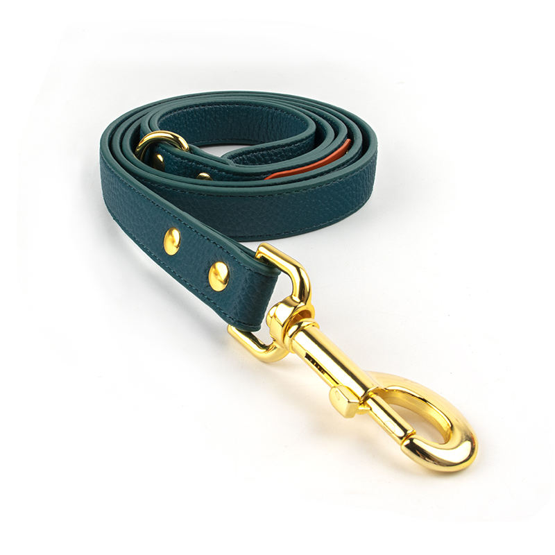 สายจูงและปลอกคอสีเขียว drak