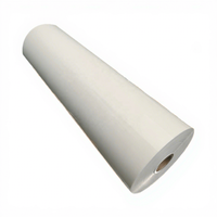 Materiales de aislamiento 6020 Aislamiento Mylar Película de poliéster Transparente PET Papel de aislamiento Pet 6021 Proveedor Pet Class Film F