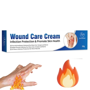 Haute efficacité brûlure brûlure feu brûlure soins de guérison pommade premiers soins à base de plantes réparation récupération brûlures Anti-Infection crème blessé - Product Image 1