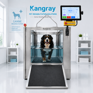 Equipo de Fisioterapia Canina para Clínica Veterinaria, Caminadora Acuática Eléctrica para Rehabilitación de Perros, Proveedor de Caminadoras Acuáticas - Product Image 1