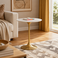 Table basse moderne simple en métal à pieds hauts, durable, pour salon, mobilier de maison, modèle OEM 1