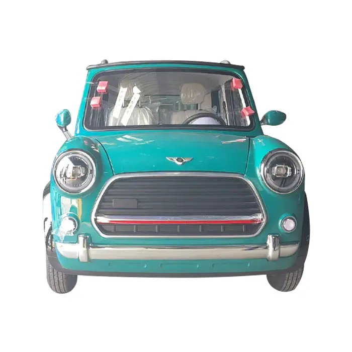 YANO Mini-electric car new energy car electric car mini from China's adult small electric