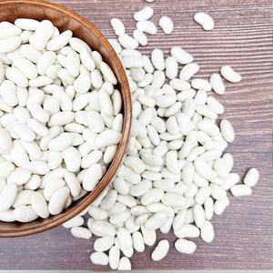 รูปร่างยาวถั่วแห้งถั่วสีขาวราคาขายส่งถั่วสีขาวที่มีคุณภาพดี - Product Image 4