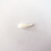 Leurre souple imprimé Bellance Souce Factory Holesale Water Sharptail Maggot Bait 16mm 0.15g
