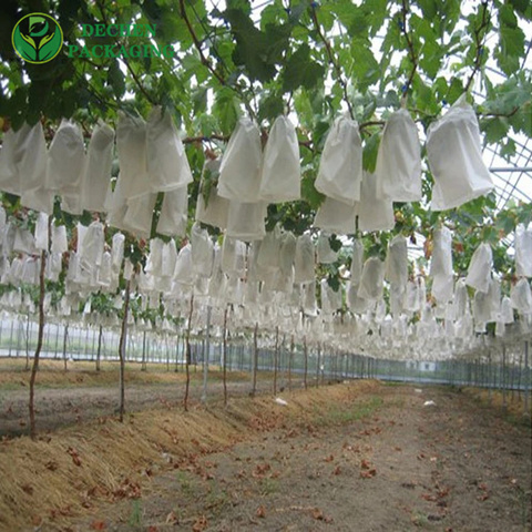 Paper Grape Fruit Protection Bag In Peru Chile Paper Grape Fruit Protection Bag In Peru Chile