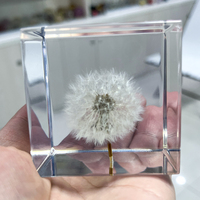 Presse-papiers artisanal en résine époxy transparente avec cube de scorpion véritable et fleur de pissenlit véritable en résine