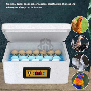 30 Máy ấp trứng và Máy ấp trứng hoàn toàn tự động Máy ấp trứng gà nhỏ - Product Image 4