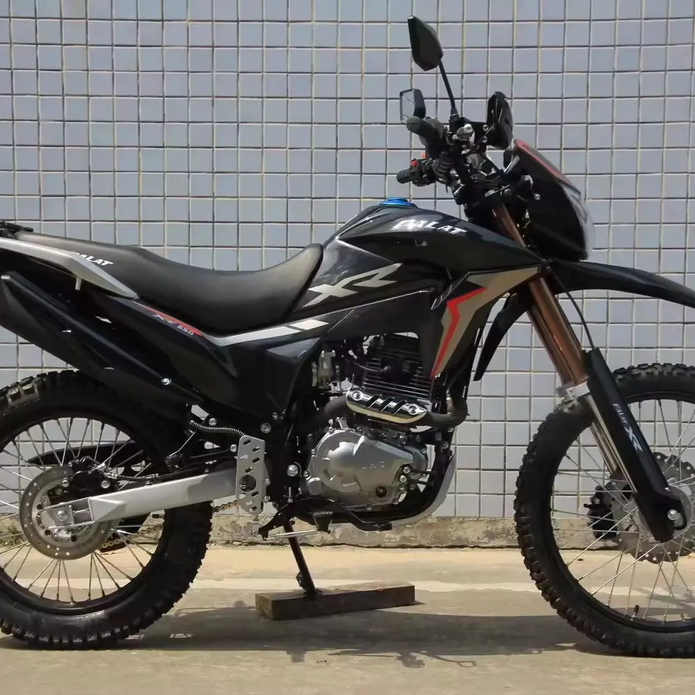 Wholesale Price 250cc Off Road Motorcycle Max Speed 95km/h Petrol Motorcycle with ABS and EFI