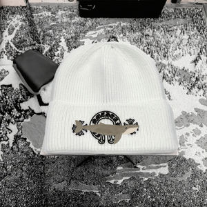 Gorro de Lana Unisex de Moda Otoño Invierno, Bordado 3D, Cálido, Informal, No se Puede Devolver, Estilo de Letras Tejidas, 100% Lana, para Adultos - Product Image 3