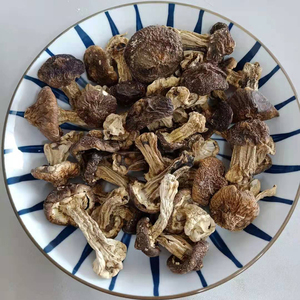 Deliciosos Hongos Shiitake Secos, <span class=keywords><strong>Matsutake</strong></span> Seco, <span class=keywords><strong>Tricholoma</strong></span> <span class=keywords><strong>Matsutake</strong></span> Seco - Product Image 5