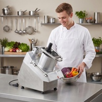 OUTE Coupe-légumes électrique multifonctionnel de haute qualité en acier inoxydable, vente en gros personnalisée