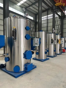 Kleine Maat Lage Prijs Verticale 100kg 600kg 800kg 1000kg Brandstof Gas Stoomgenerator - Product Image 4