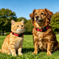 Collier GPS pour chien et chat certifié Apple Find My MFi, étanche IP68, réfléchissant, réglable, anti-perte, noir, bleu, rouge, turquoise