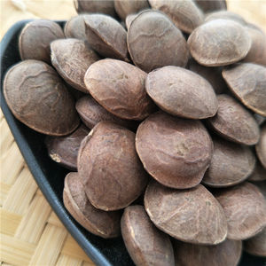 หยินเจียกั๋ว ขายส่งซาชาอินชีออร์แกนิกแห้ง (Plukenetia Volubilis) สำหรับทำน้ำมัน - Product Image 3