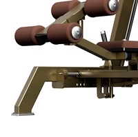 Banc d'entraînement robuste classique pour usage commercial, club sportif, salle de sport, banc double, machine Smith
