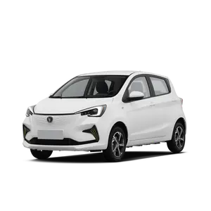 Changan BenBen E-Star-지속 가능한 이동성 EV 차량의 미래 Changan BenBen E-Star