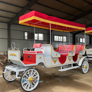 Carruaje Turístico Eléctrico o de Caballos Personalizado para Parques y Atracciones, Nuevo Estilo, Gran Venta - Product Image 1