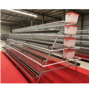 Système de cages automatiques <span class=keywords><strong>pour</strong></span> poules pondeuses de type A de haute qualité, équipement d'élevage avicole, cages à poulets en batterie galvanisées à chaud - Product Image 2