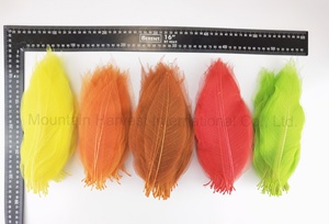 100 cái/túi Màu Rắn L.20-22Cm Mộc Lan Skeleton Lá Cho Nhà Và Trang Trí Đám Cưới Tiện Dụng DIY Craft Khung Điện Thoại Trường Hợp - Product Image 3