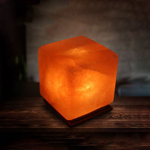 Contemporary Original Himalayan Salt <b>Lamp</b> Animal Shape Carved USB Powered Wooden Base Home Decor <b>Table</b> <b>Lamp</b> - Product Image 1
